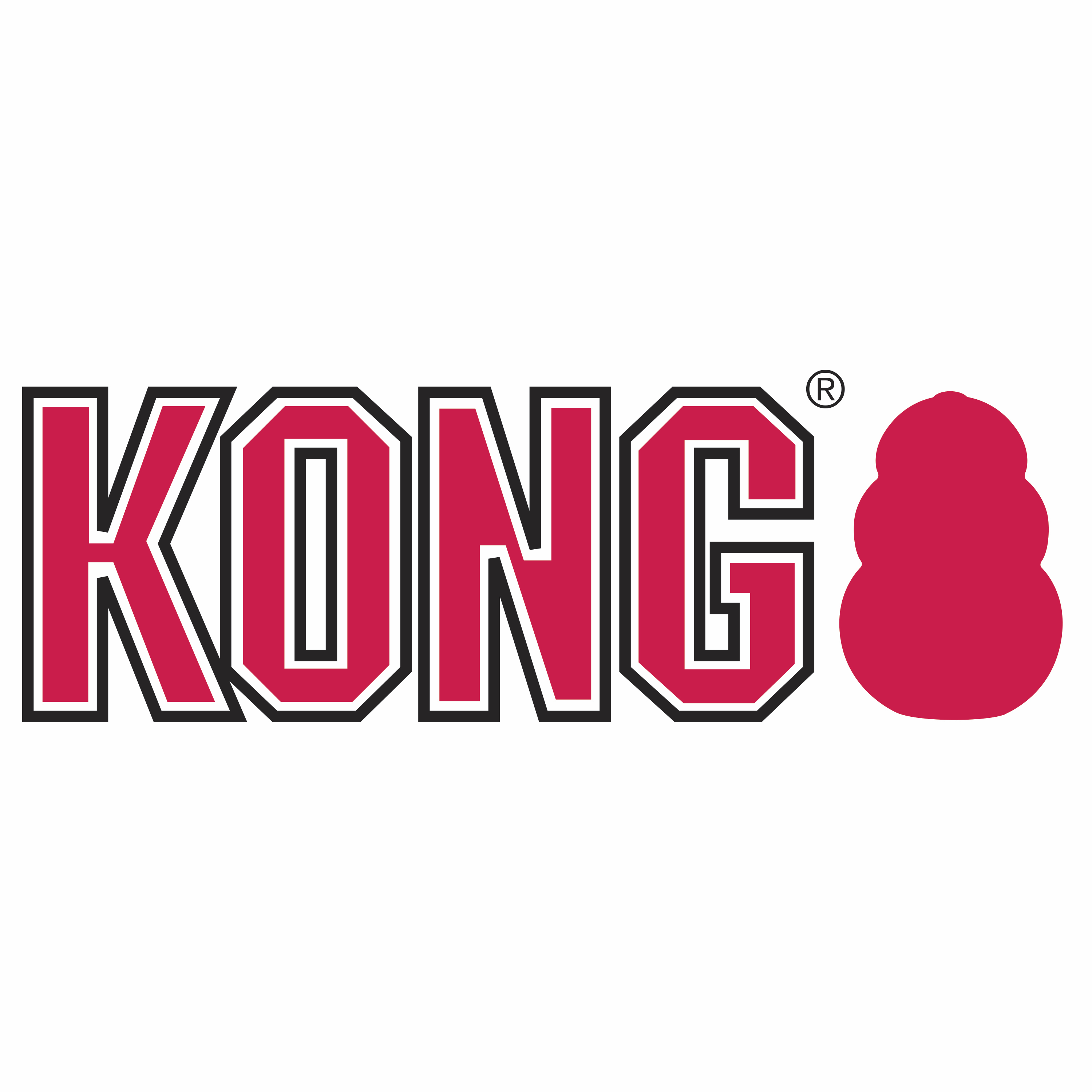 Kong Dog Toys Logo at East Coast Pets Clarenville
